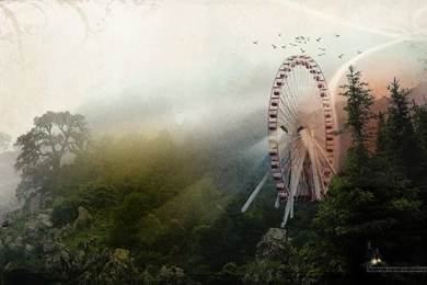 Wilderness Wallpapers   123996