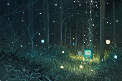 Beemo And Bubble   Adventure Time