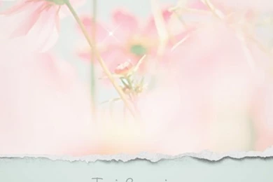 Wallpapers Quotes On Pinterest