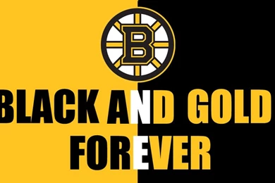 Boston Bruins Wallpapers By Botulizard On DeviantArt
