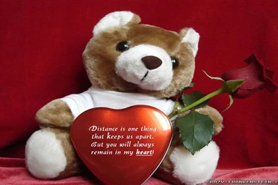 Love Quotes Wallpapers   Crazy Frankenstein