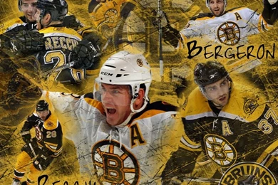 Bruins   DeviantArt