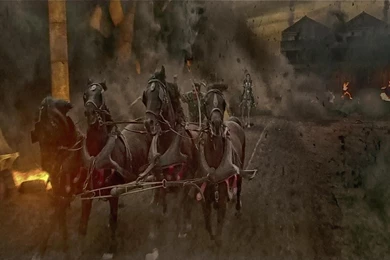 Pompeii 2014 Movie Hd Wallpapers And Photos