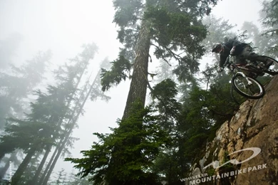 Wallpapers Mtb 1024x768