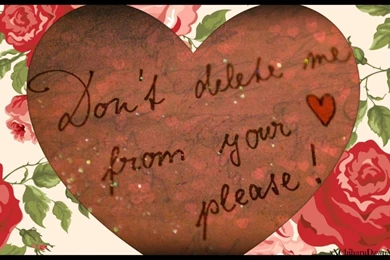 DON T DELETE ME FROM YOUR LUV PLZ WALLPAPER   (