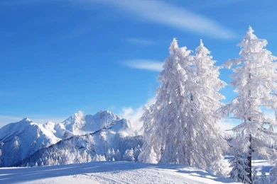 Scenery Winter Wallpapers Winter Snowfall Beautiful Wallpapers ...
