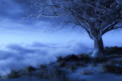 Tablet 7" Wallpapers: Fantastic Austrian Alps Meadow Grass Snow ...