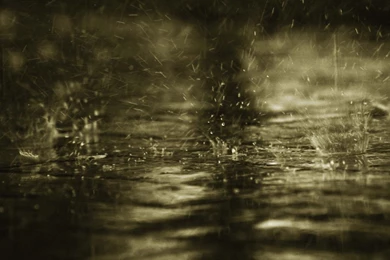 Rain Wallpapers