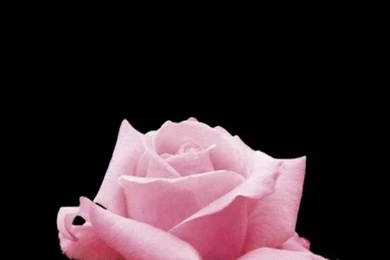 HD 720x1280 Wallpapers Img 10