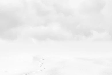 Winter On PremadeBackgrounds DeviantArt