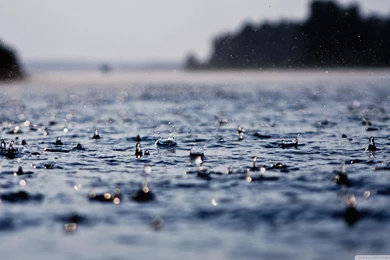Rain Drops In Water, 2560x1440 HD Wallpapers And FREE Stock Photo
