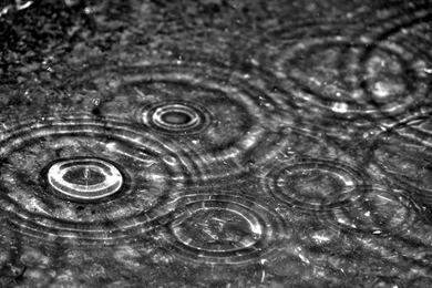 Crying Rain Water Puddle HD Wallpapers