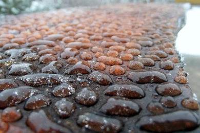 Wallpapers HD Rain Water Droplets   HD Wallpapers Expert