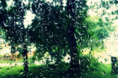 Rain Water Drops Wallpapers