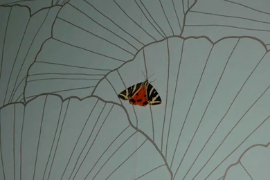 Simplicity Art Deco Wallpapers