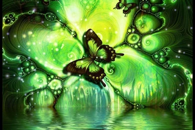 1373) Black Butterfly HD Backgrounds Wallpapers   WalOps.com