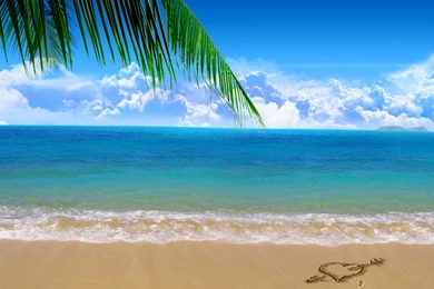 Download Wallpapers Palm On Paradise Beach (1920 X 1080 HDTV 1080p ...