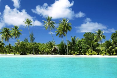 1920x1200 Tropical Beach Paradise Wallpapers