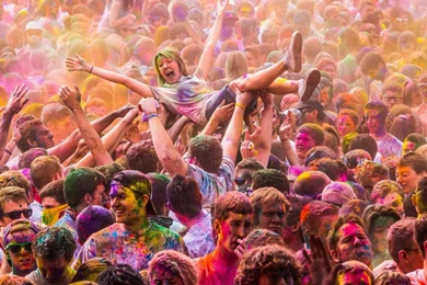 Jungle Indie Rock Music Tumblr • Crowd Surfing. Free Wallpapers