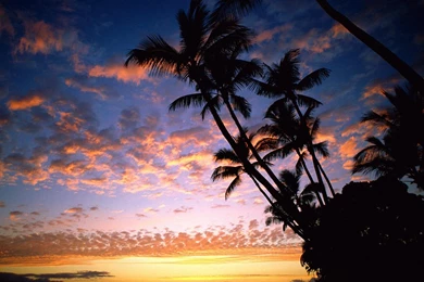 Tropical Beach Paradise Sunset   Wallpaper.