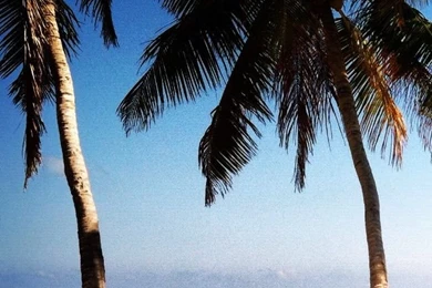 Beach Paradise iPhone 5 Wallpapers (640x1136)