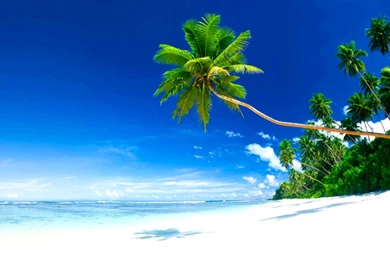 1920x1080px Beautiful Beach Paradise Look