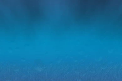 Background website 4 2014 wallpaper background and wallpapers ...