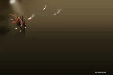 Wallpaper, Website, Pixel   107312