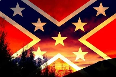 Rebel Flag On Pinterest