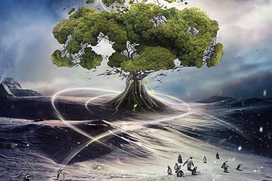 65 Full Hd Wallpapers For iPhone 4   Over The Top Mag