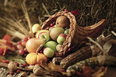 Thanksgiving Animated Images   HD Wallpapers Pretty