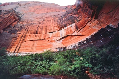 Byron Neslen Fine Art Photography