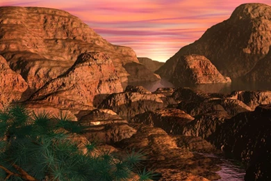 Springtime In The Southwest By Zethara On DeviantArt