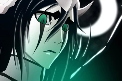 Ulquiorra Cifer   Bleach Wallpapers   Anime Wallpapers