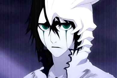 Ulquiorra Cifer Wallpapers   Wallpapers Cave