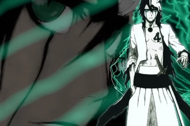 Bleach Ulquiorra Cifer   HisBir