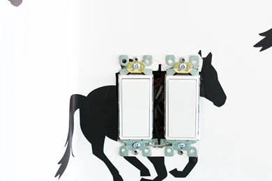 Peel And Stick Horse Wallpapers   Sarah Hearts