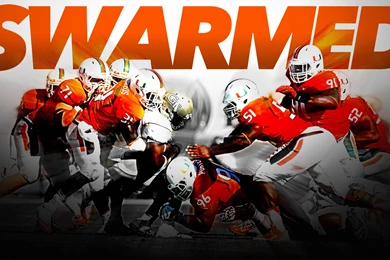 Canes Sting Jackets, 45 30   University Of Miami Hurricanes ...
