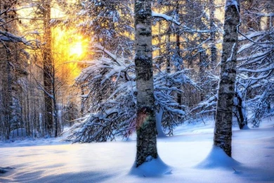 Winter Wallpaper,Winter HD Wallpaper,Wallpapers HD Wallpaper,Winter ...