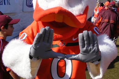 Sebastian The Ibis Wikipedia The Free Encyclopedia University Of ...