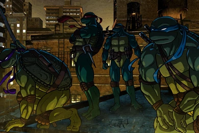 Teenage Mutant Ninja Turtles Warrior Cartoon Wallpapers