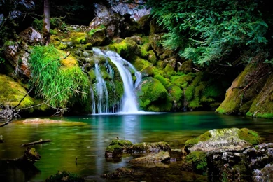 Top_desktop_ wallpaper _hd_ nature _free _download.jpg