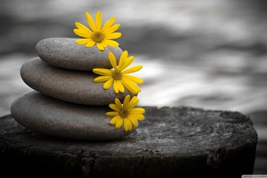 Zen Backgrounds HD Desktop Wallpapers : High Definition : Fullscreen ...