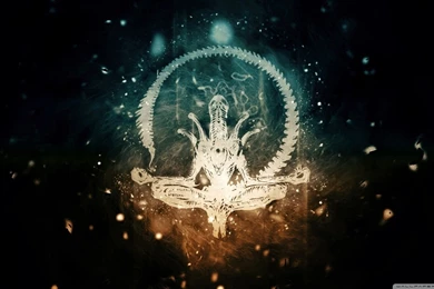 Alien Zen HD Desktop Wallpapers : High Definition : Fullscreen : Mobile