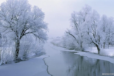 Winter Desktop Backgrounds Free   Desktop Backgrounds