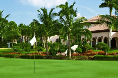 Desktop Wallpapers Hd Nature 1080p Dowload