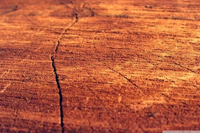 Wood Log HD Desktop Wallpapers : Widescreen : High Definition ...