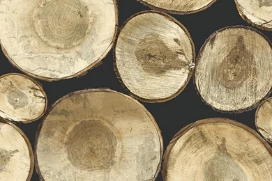 Black Wood Log Wallpapers By Wallquest