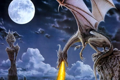 Dragon Pictures Download   HD Wallpapers And Pictures