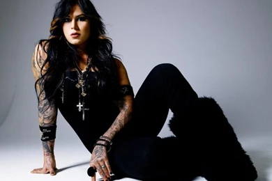 Kat Wallpapers Download   Wallpapers Animal Hd